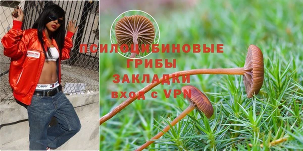 ECSTASY Верея
