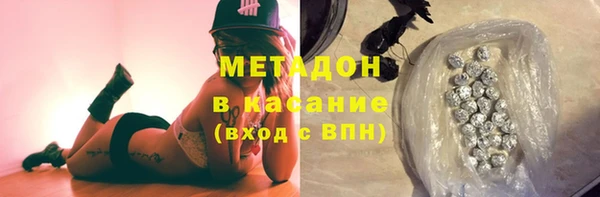 прущие грибы Рославль