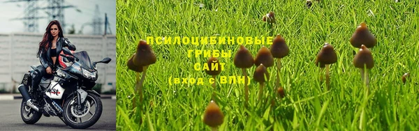 ECSTASY Верея
