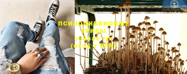 соль ск Верхнеуральск