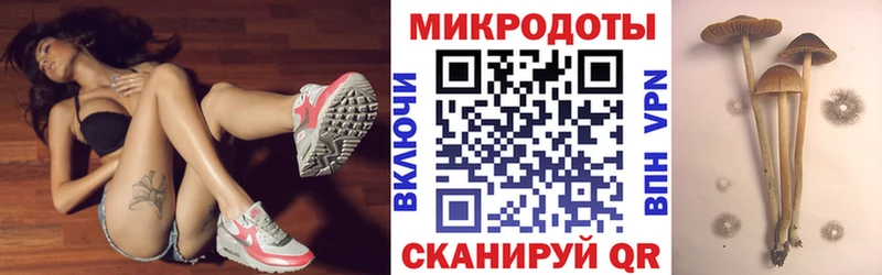 где найти   Вытегра  Галлюциногенные грибы Cubensis 